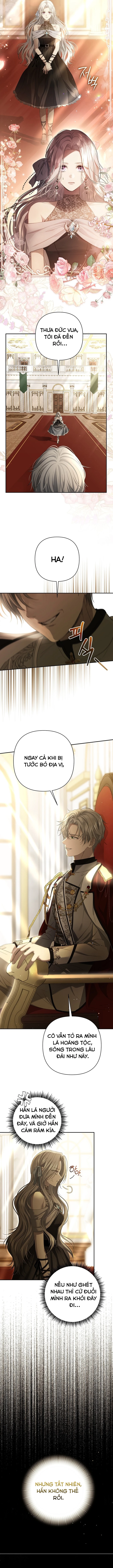 Presepe Bên Ngoài Chiếc Lồng Chapter 2 - Next Chapter 3