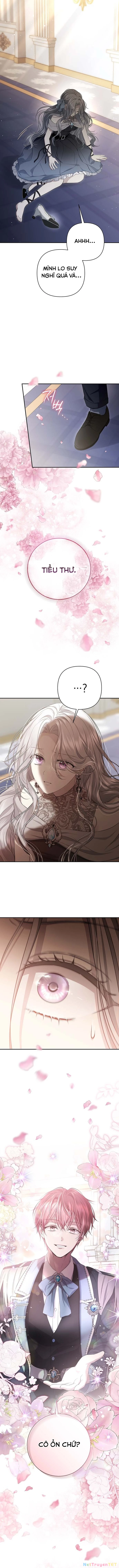 Presepe Bên Ngoài Chiếc Lồng Chapter 3 - Next Chapter 4