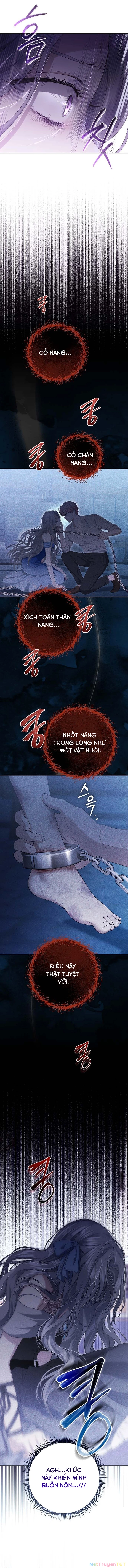 Presepe Bên Ngoài Chiếc Lồng Chapter 3 - Next Chapter 4