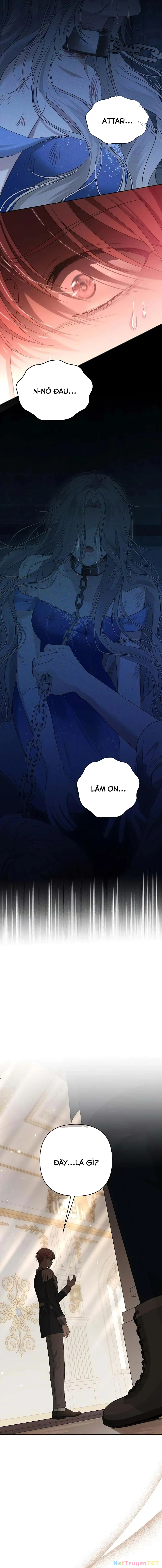 Presepe Bên Ngoài Chiếc Lồng Chapter 4 - Next Chapter 5