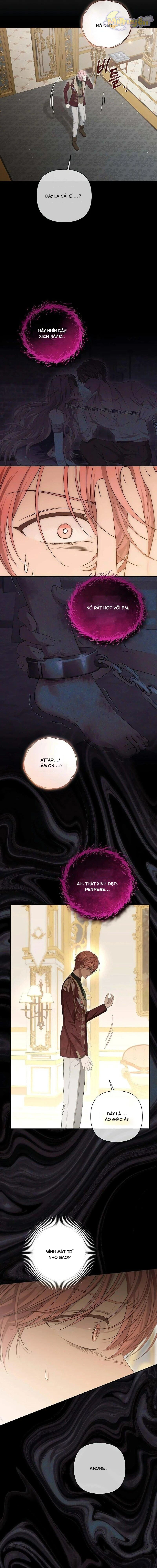 Presepe Bên Ngoài Chiếc Lồng Chapter 6 - Next Chapter 7