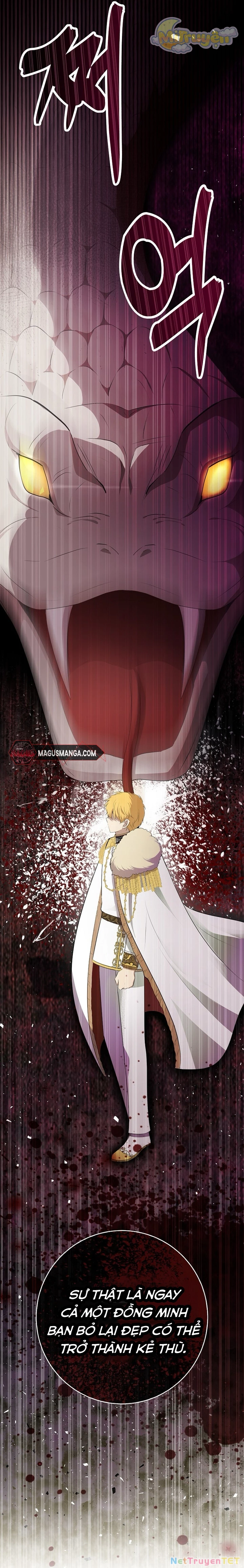 Sóc Nhỏ Tài Năng Chapter 69 - Trang 4