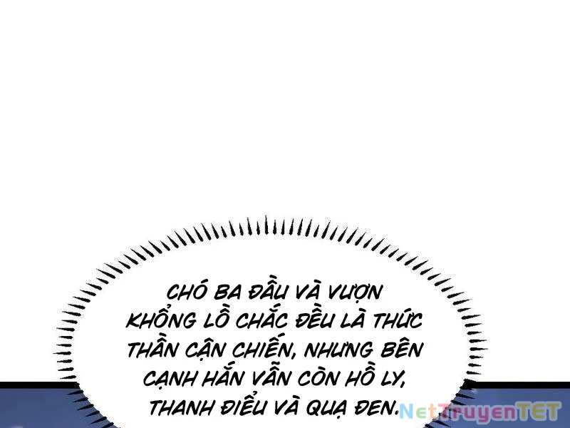Toàn Cầu Băng Phong: Ta Chế Tạo Phòng An Toàn Tại Tận Thế Chapter 571 - Trang 4