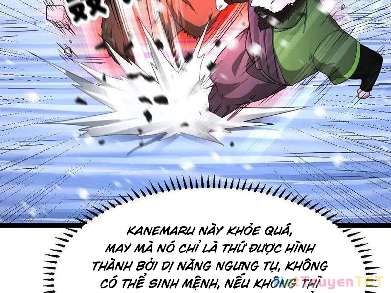 Toàn Cầu Băng Phong: Ta Chế Tạo Phòng An Toàn Tại Tận Thế Chapter 571 - Trang 4