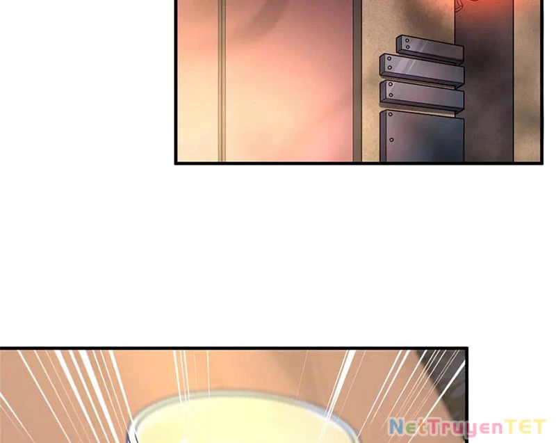 Thần Sủng Tiến Hóa Chapter 377 - Trang 4