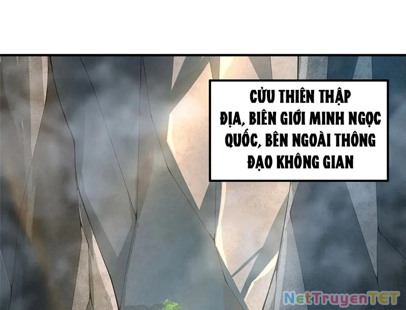 Thần Sủng Tiến Hóa Chapter 377 - Trang 4