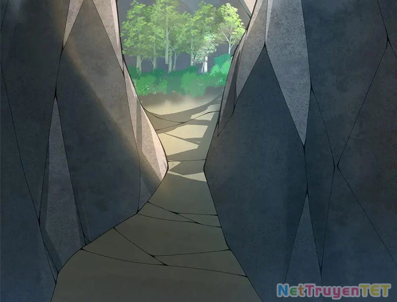Thần Sủng Tiến Hóa Chapter 377 - Trang 4
