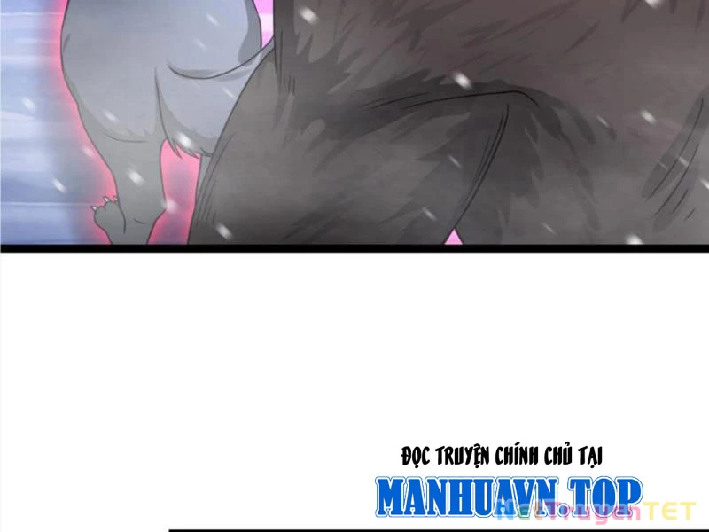 Toàn Cầu Băng Phong: Ta Chế Tạo Phòng An Toàn Tại Tận Thế Chapter 572 - Trang 4