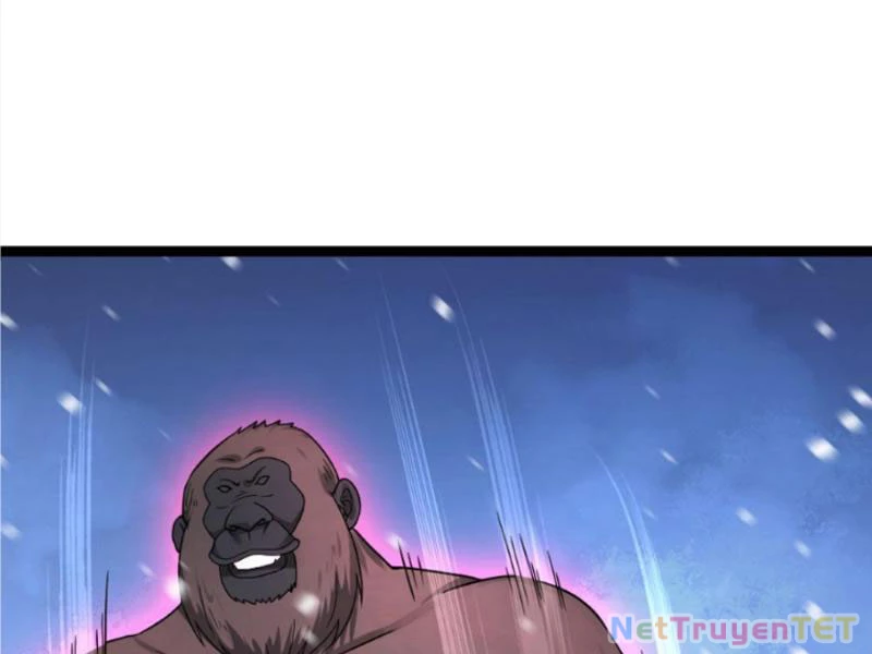 Toàn Cầu Băng Phong: Ta Chế Tạo Phòng An Toàn Tại Tận Thế Chapter 572 - Trang 4