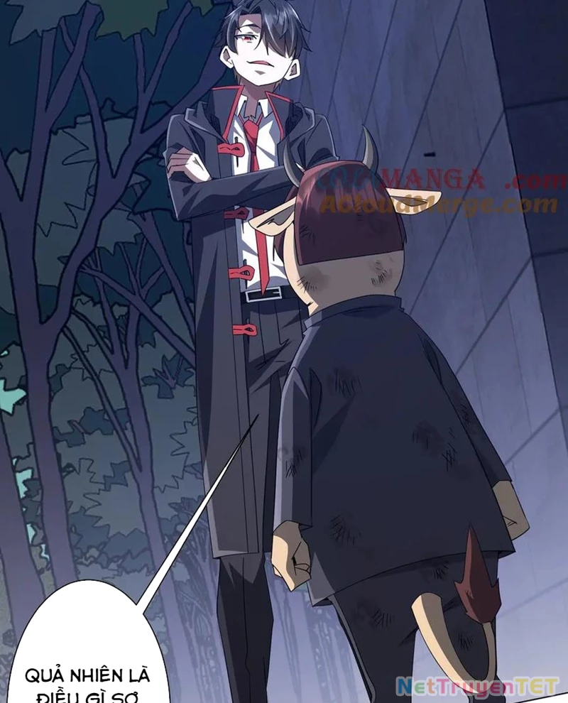 Bắt Đầu Với Trăm Vạn Minh Tệ Chapter 209 - Trang 4