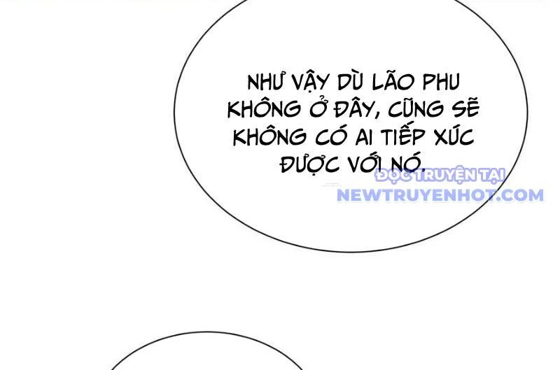 Ta Học Trảm Thần Trong Bệnh Viện Tâm Thần Chapter 184 - Trang 4