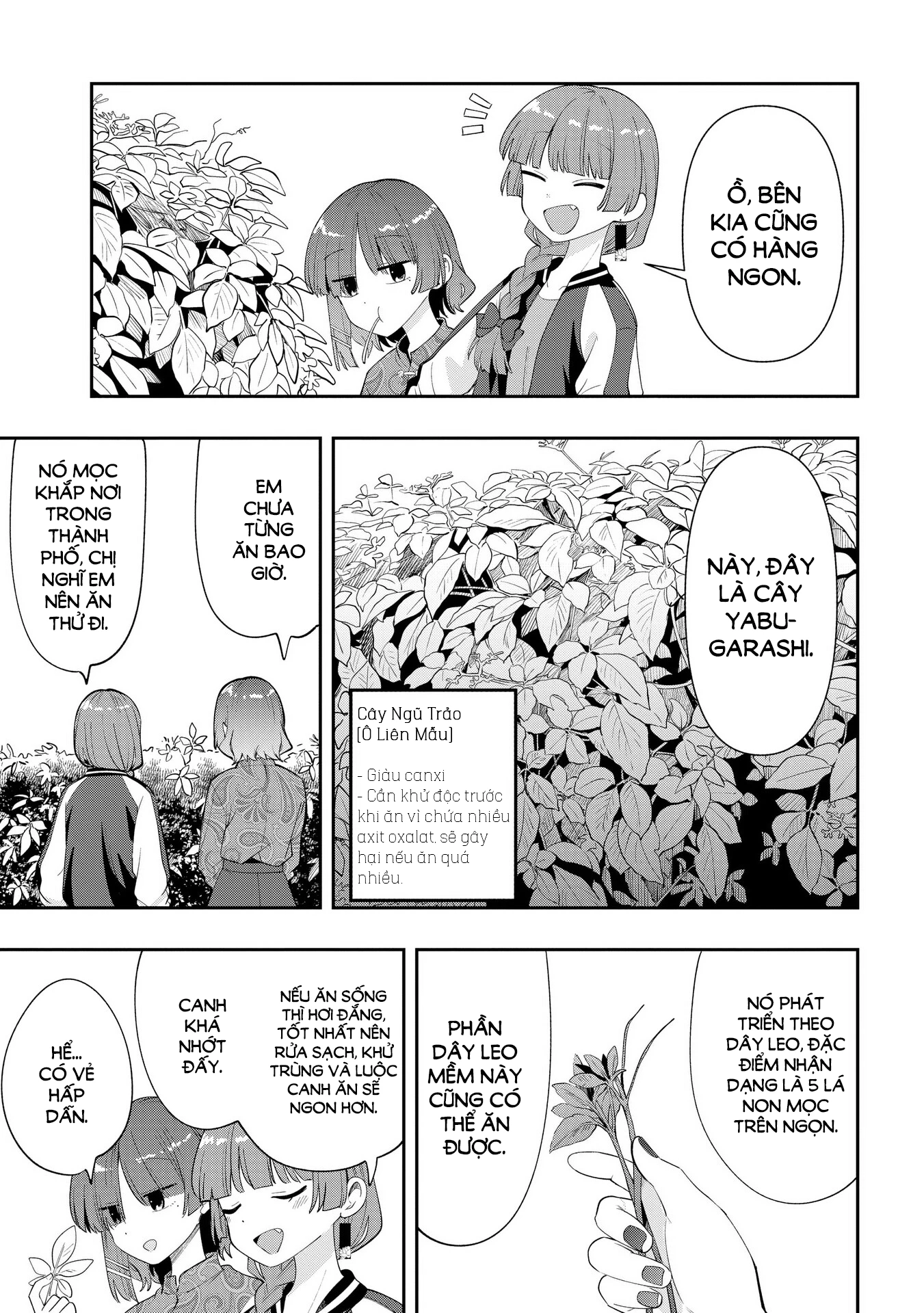 Bocchi the Rock! Gaiden: Kikuri Hiroi's Heavy Drinking Diary Chapter 33 - Trang 3