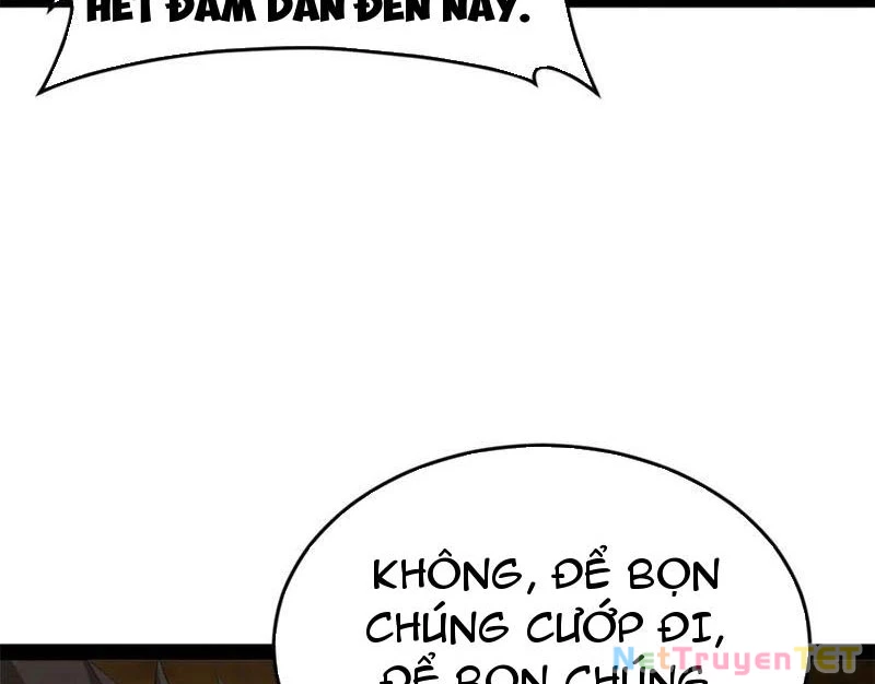 Chàng Rể Mạnh Nhất Lịch Sử Chapter 264 - Trang 4