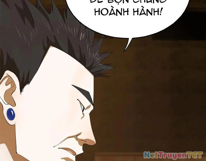 Chàng Rể Mạnh Nhất Lịch Sử Chapter 264 - Trang 4