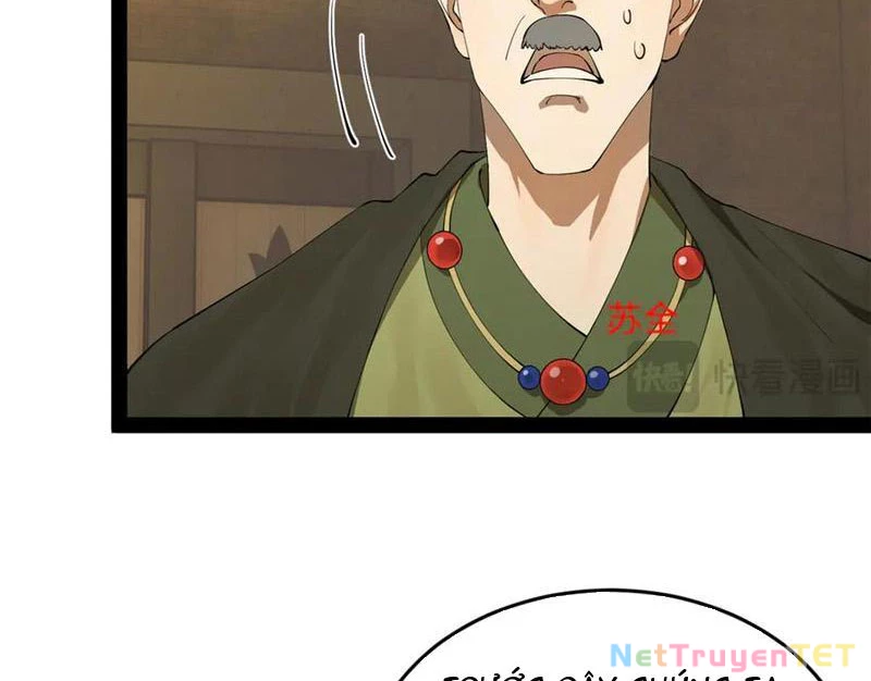 Chàng Rể Mạnh Nhất Lịch Sử Chapter 264 - Trang 4
