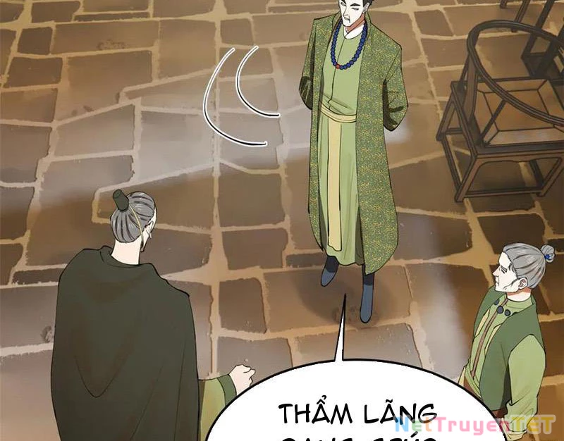 Chàng Rể Mạnh Nhất Lịch Sử Chapter 264 - Trang 4