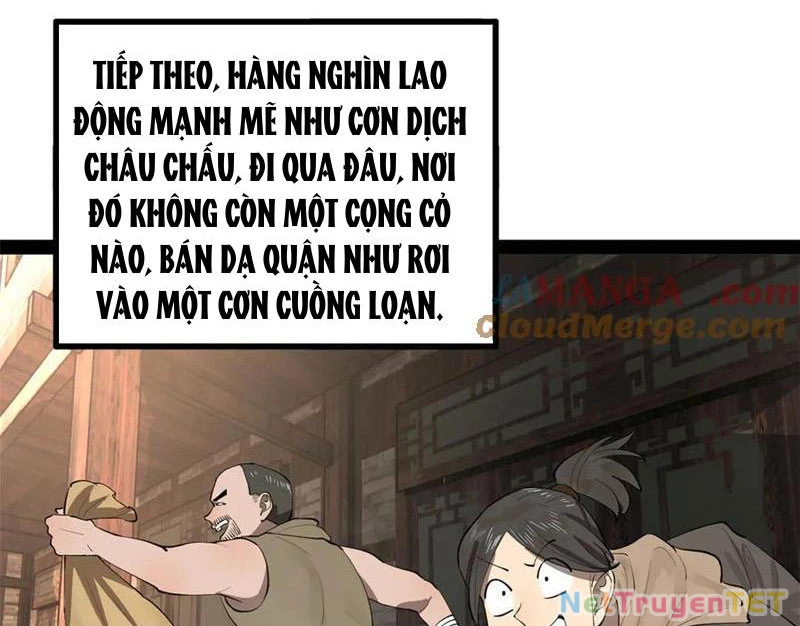 Chàng Rể Mạnh Nhất Lịch Sử Chapter 264 - Trang 4