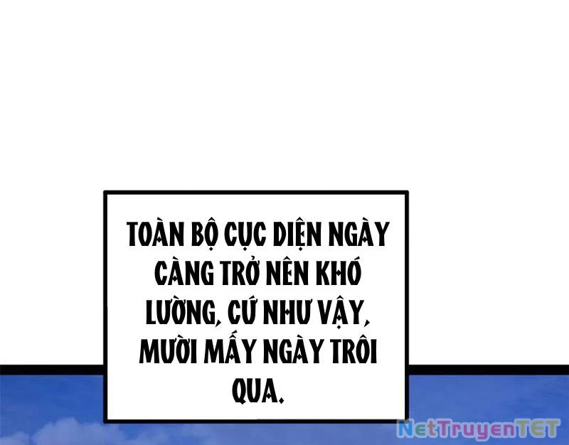 Chàng Rể Mạnh Nhất Lịch Sử Chapter 264 - Trang 4