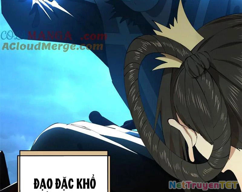 Chàng Rể Mạnh Nhất Lịch Sử Chapter 264 - Trang 4