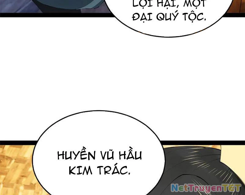 Chàng Rể Mạnh Nhất Lịch Sử Chapter 264 - Trang 4