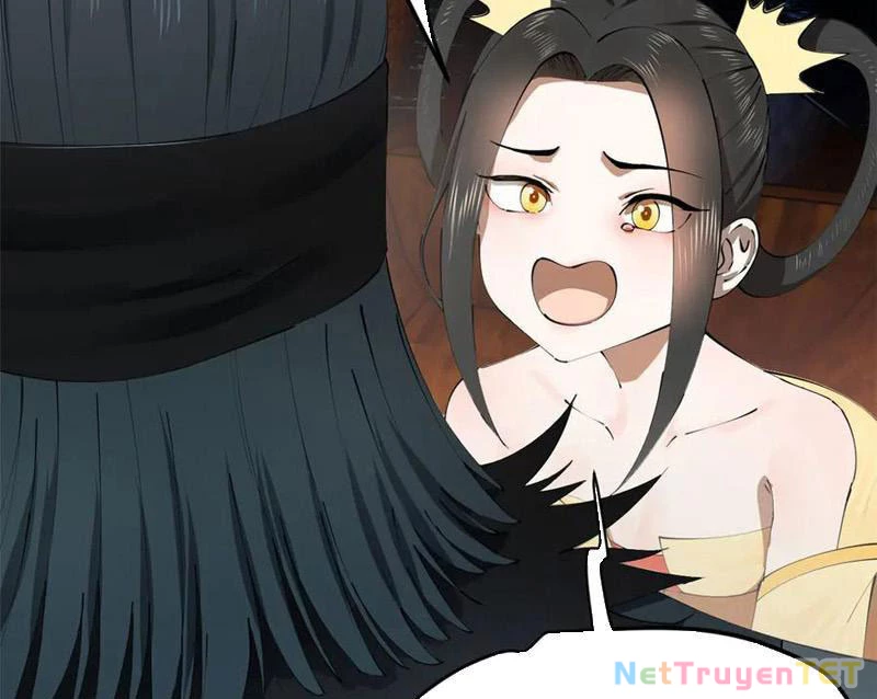 Chàng Rể Mạnh Nhất Lịch Sử Chapter 264 - Trang 4
