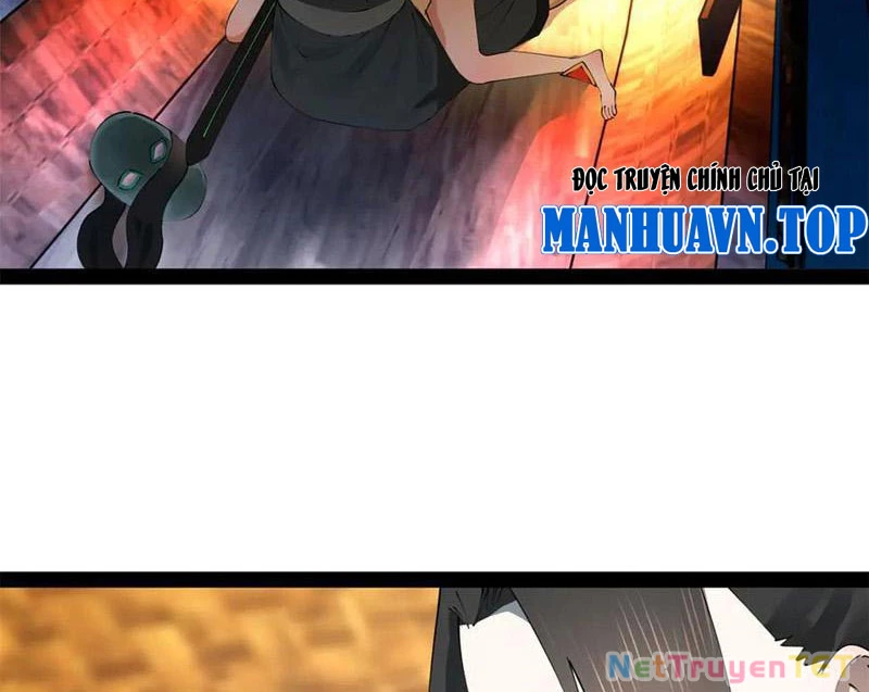 Chàng Rể Mạnh Nhất Lịch Sử Chapter 264 - Trang 4