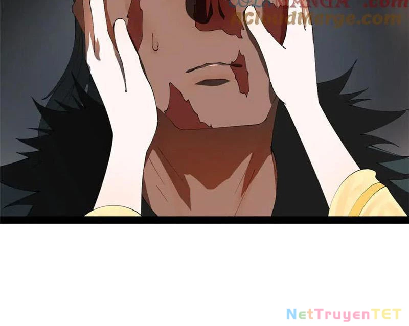 Chàng Rể Mạnh Nhất Lịch Sử Chapter 264 - Trang 4