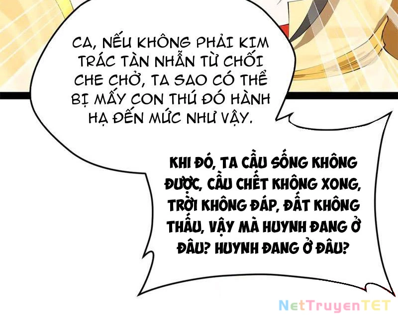Chàng Rể Mạnh Nhất Lịch Sử Chapter 264 - Trang 4