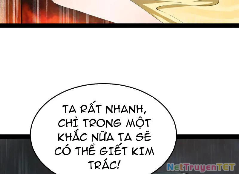 Chàng Rể Mạnh Nhất Lịch Sử Chapter 264 - Trang 4