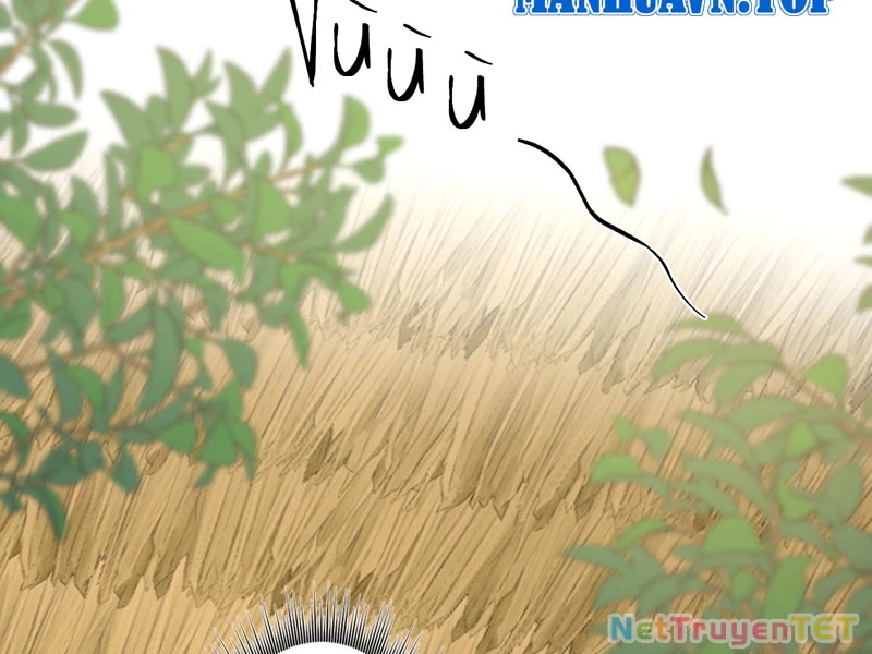 Đồ đệ ta đều là vô địch đại yêu Chapter 29 - Trang 2