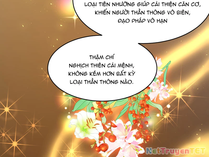Đồ đệ ta đều là vô địch đại yêu Chapter 29 - Trang 2