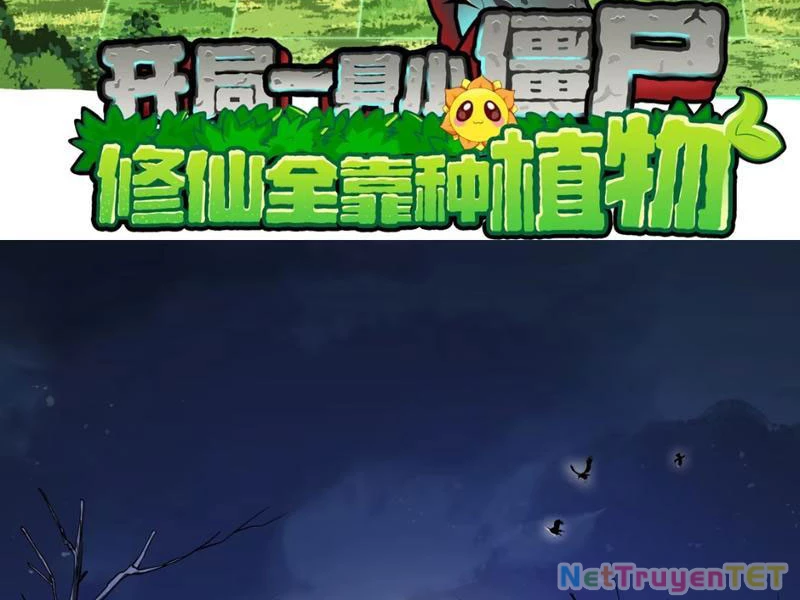 Xuyên Không Đến Thế Giới Tu Chân, Ta Vậy Mà Kích Hoạt Được Hệ Thống Plants vs Zombie Chapter 1 - Trang 3