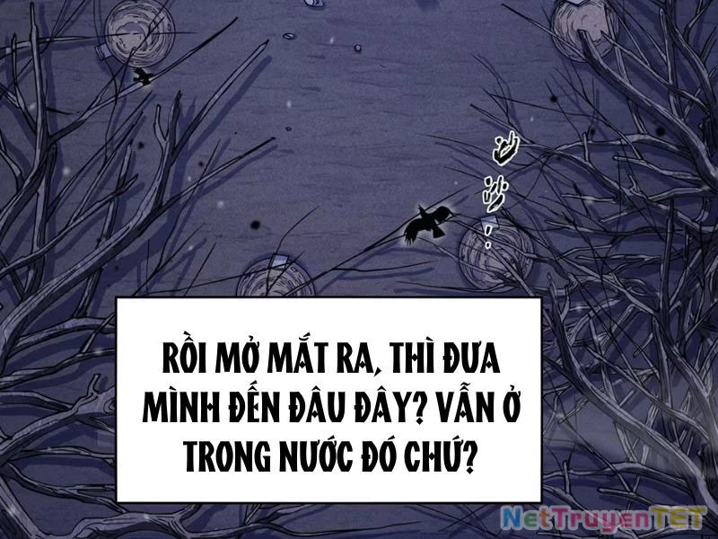 Xuyên Không Đến Thế Giới Tu Chân, Ta Vậy Mà Kích Hoạt Được Hệ Thống Plants vs Zombie Chapter 1 - Trang 3