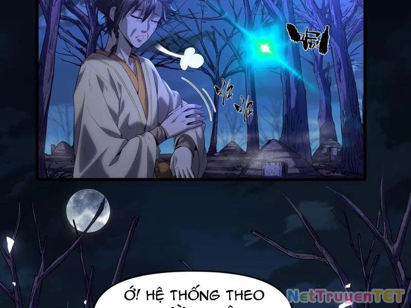 Xuyên Không Đến Thế Giới Tu Chân, Ta Vậy Mà Kích Hoạt Được Hệ Thống Plants vs Zombie Chapter 1 - Trang 3