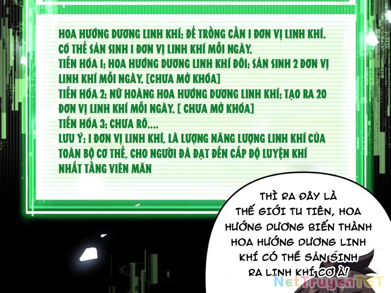 Xuyên Không Đến Thế Giới Tu Chân, Ta Vậy Mà Kích Hoạt Được Hệ Thống Plants vs Zombie Chapter 1 - Trang 3