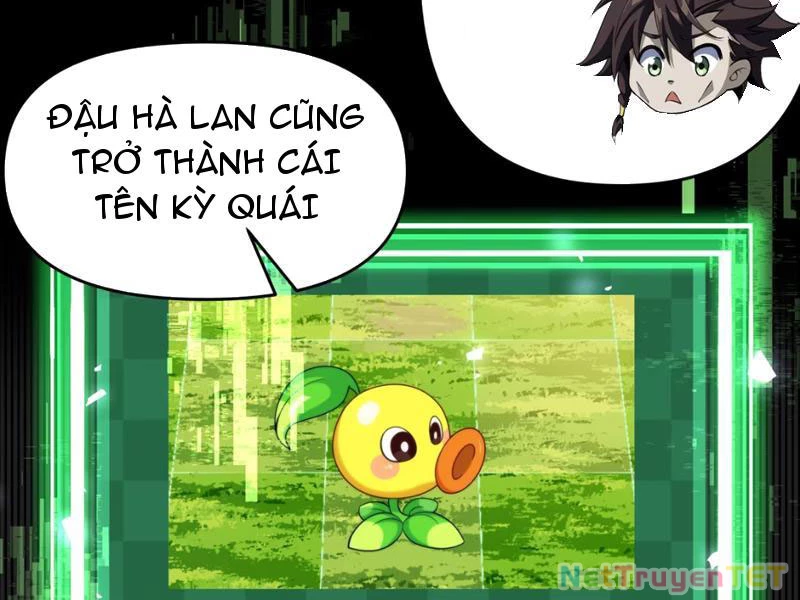Xuyên Không Đến Thế Giới Tu Chân, Ta Vậy Mà Kích Hoạt Được Hệ Thống Plants vs Zombie Chapter 1 - Trang 3