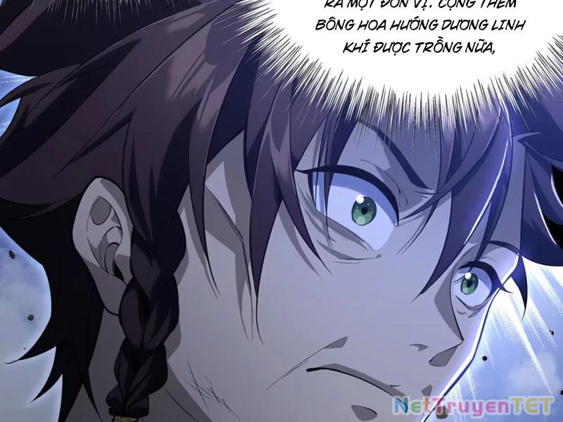 Xuyên Không Đến Thế Giới Tu Chân, Ta Vậy Mà Kích Hoạt Được Hệ Thống Plants vs Zombie Chapter 1 - Trang 3