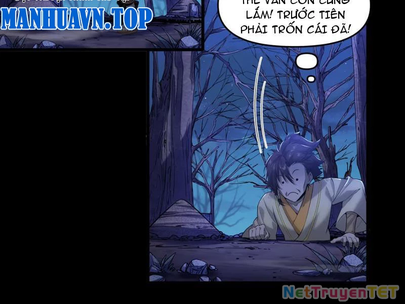 Xuyên Không Đến Thế Giới Tu Chân, Ta Vậy Mà Kích Hoạt Được Hệ Thống Plants vs Zombie Chapter 1 - Trang 3