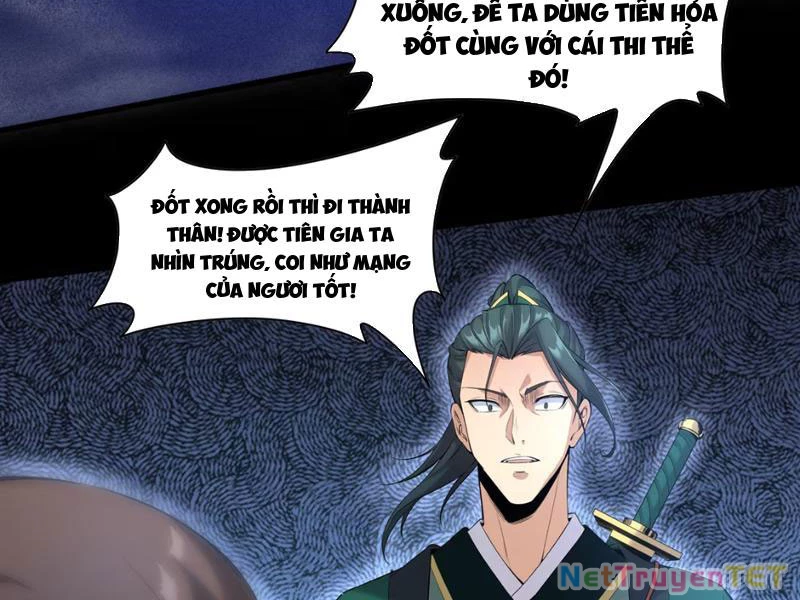 Xuyên Không Đến Thế Giới Tu Chân, Ta Vậy Mà Kích Hoạt Được Hệ Thống Plants vs Zombie Chapter 1 - Trang 3