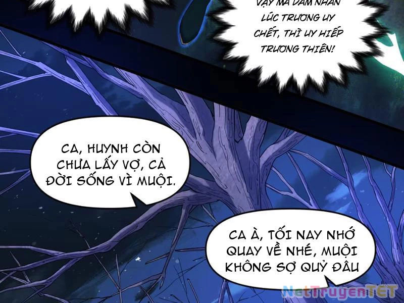 Xuyên Không Đến Thế Giới Tu Chân, Ta Vậy Mà Kích Hoạt Được Hệ Thống Plants vs Zombie Chapter 1 - Trang 3