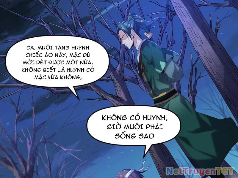 Xuyên Không Đến Thế Giới Tu Chân, Ta Vậy Mà Kích Hoạt Được Hệ Thống Plants vs Zombie Chapter 1 - Trang 3