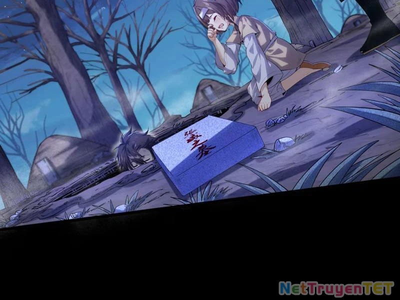 Xuyên Không Đến Thế Giới Tu Chân, Ta Vậy Mà Kích Hoạt Được Hệ Thống Plants vs Zombie Chapter 1 - Trang 3