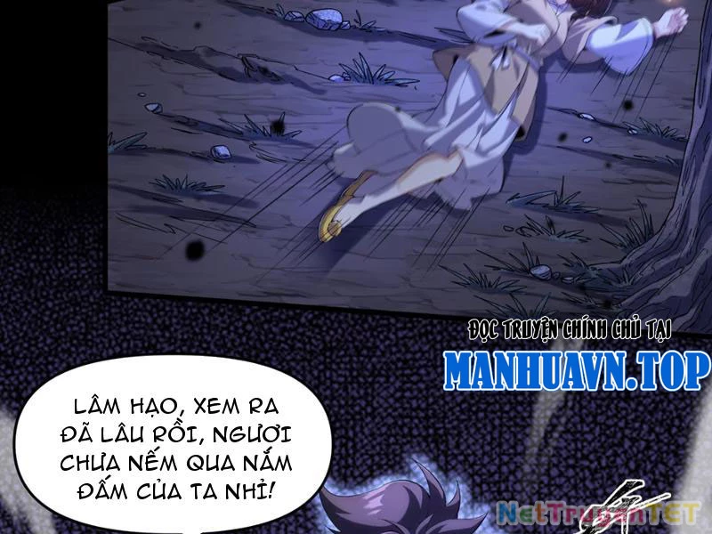 Xuyên Không Đến Thế Giới Tu Chân, Ta Vậy Mà Kích Hoạt Được Hệ Thống Plants vs Zombie Chapter 1 - Trang 3