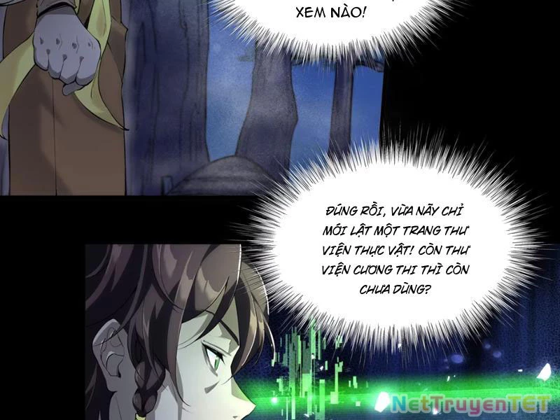 Xuyên Không Đến Thế Giới Tu Chân, Ta Vậy Mà Kích Hoạt Được Hệ Thống Plants vs Zombie Chapter 1 - Trang 3
