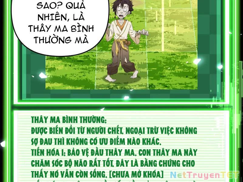 Xuyên Không Đến Thế Giới Tu Chân, Ta Vậy Mà Kích Hoạt Được Hệ Thống Plants vs Zombie Chapter 1 - Trang 3