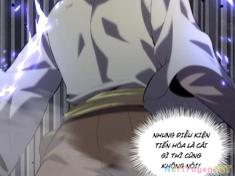 Xuyên Không Đến Thế Giới Tu Chân, Ta Vậy Mà Kích Hoạt Được Hệ Thống Plants vs Zombie Chapter 1 - Trang 3
