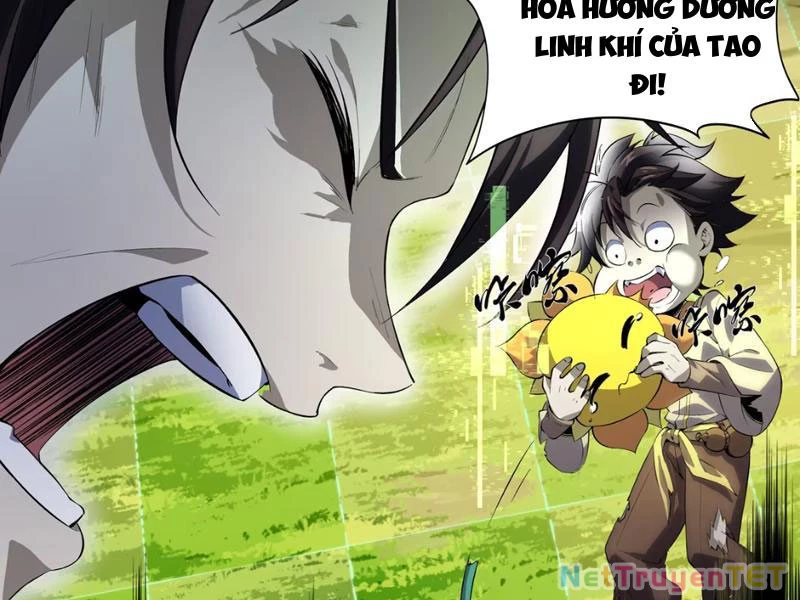 Xuyên Không Đến Thế Giới Tu Chân, Ta Vậy Mà Kích Hoạt Được Hệ Thống Plants vs Zombie Chapter 1 - Trang 3