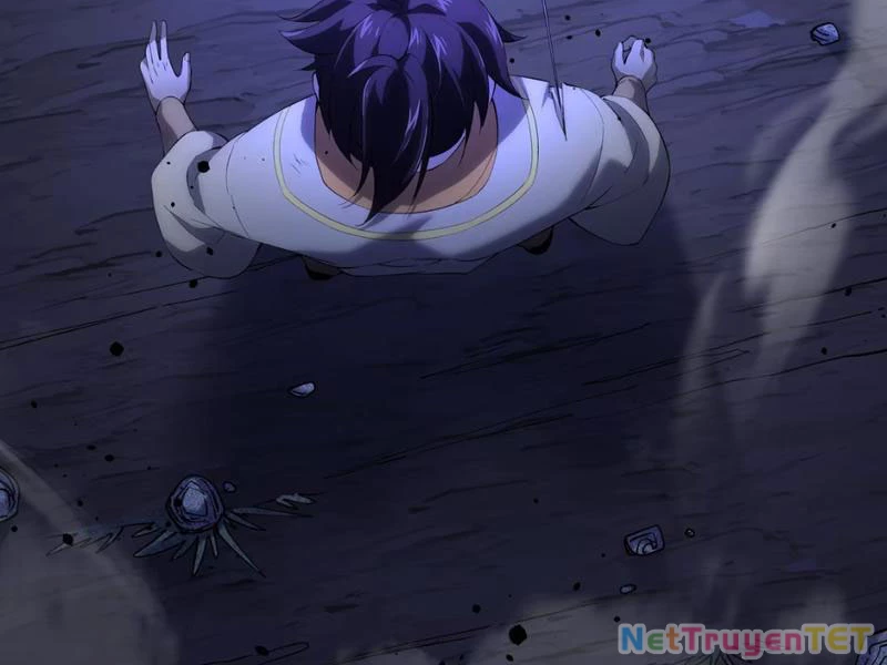 Xuyên Không Đến Thế Giới Tu Chân, Ta Vậy Mà Kích Hoạt Được Hệ Thống Plants vs Zombie Chapter 1 - Trang 3