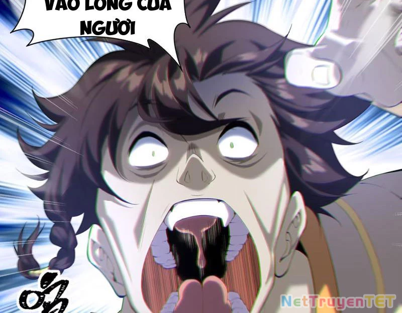 Xuyên Không Đến Thế Giới Tu Chân, Ta Vậy Mà Kích Hoạt Được Hệ Thống Plants vs Zombie Chapter 1 - Trang 3