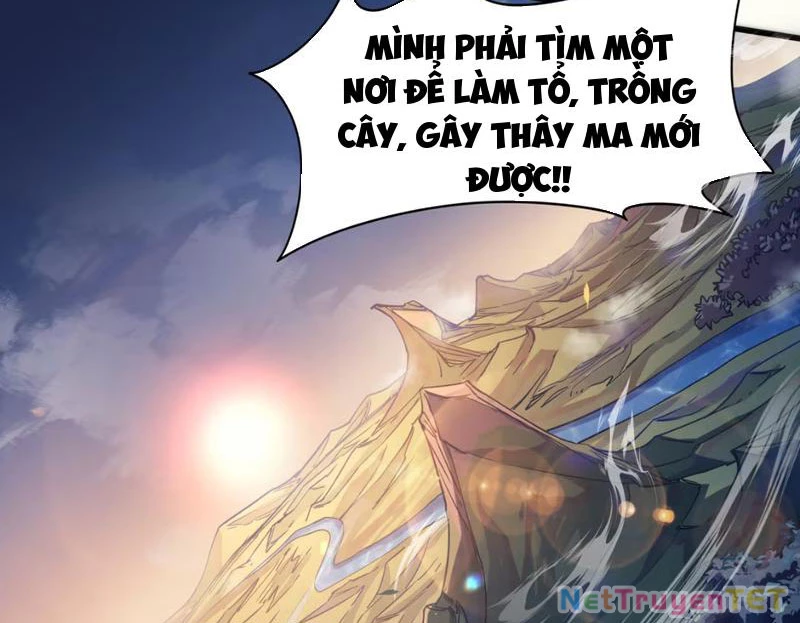 Xuyên Không Đến Thế Giới Tu Chân, Ta Vậy Mà Kích Hoạt Được Hệ Thống Plants vs Zombie Chapter 1 - Trang 3